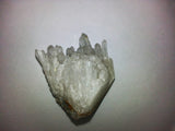 Quartz crystal points - Very Shari