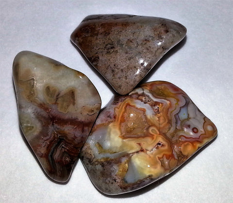 CRAZYLACE AGATE - Very Shari