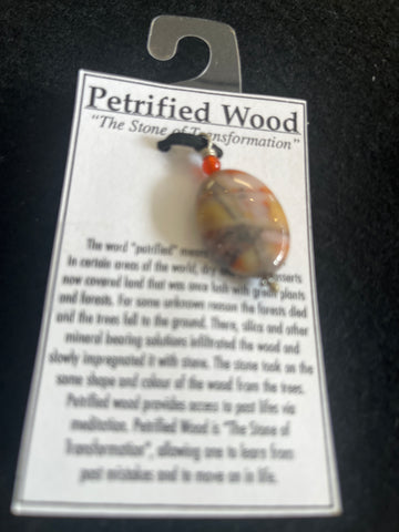 Petrified Wood Pendant