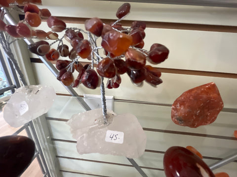 Carnelian Tree